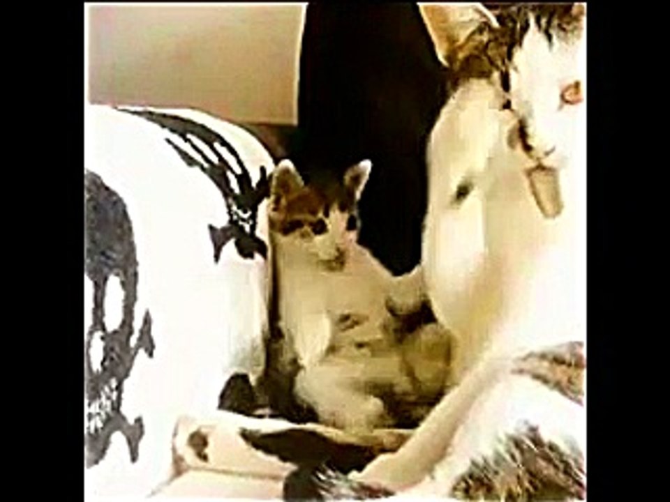 Tekara-Breathe_In_Me-Vs-Livin-Joy-Dreamer