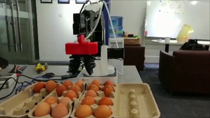 Dobot Robotic Arm Industrial Application Showcase