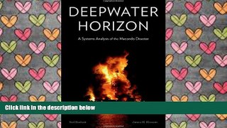 BEST PDF  Deepwater Horizon: A Systems Analysis of the Macondo Disaster BOOK ONLINE