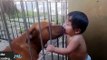 Puppies Cute. Babies Adorable. Puppies AND babies Funny Videos