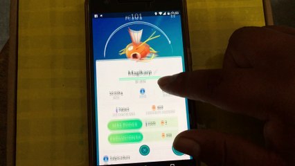 POKEMON GO EVOLUCION MAGIKARP AL PODEROSO GYARADOS