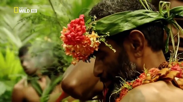 Islands - jungle video(Nature- Documentary)