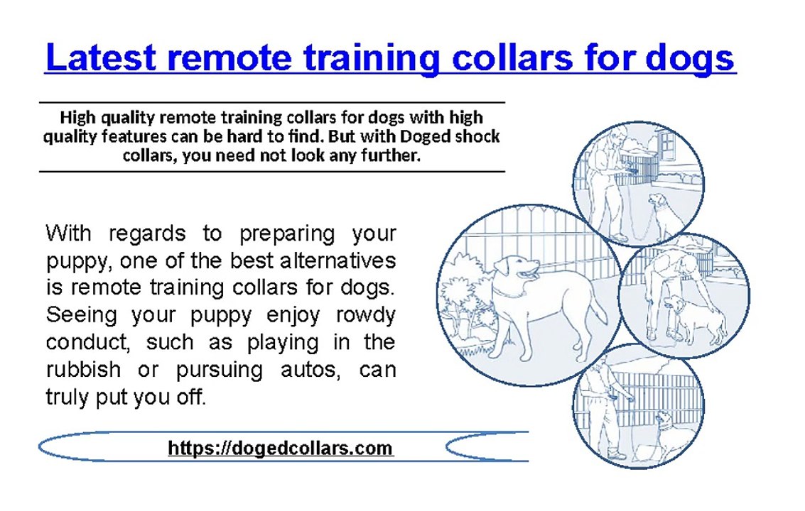 Latest remote training collars for dogs