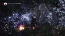 Nioh - Gameplay PS4 Pro
