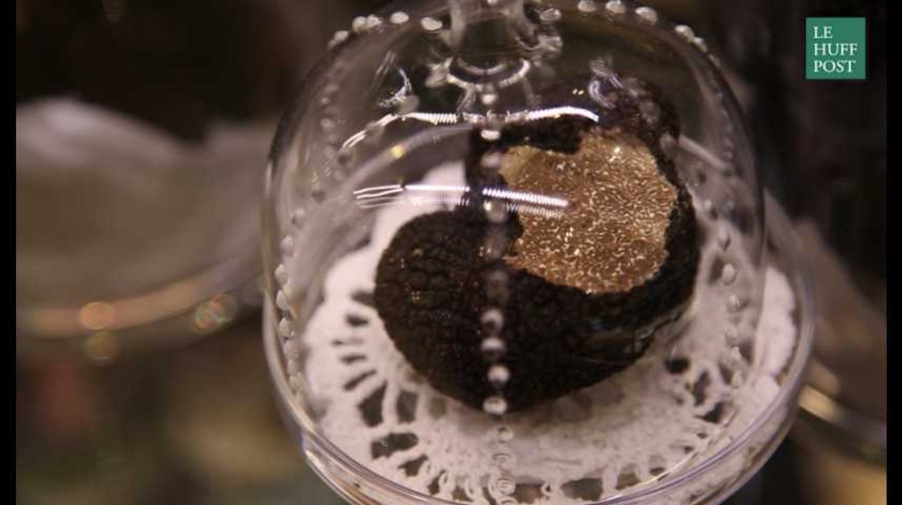 Tout tout tout, vous saurez tout sur la truffe