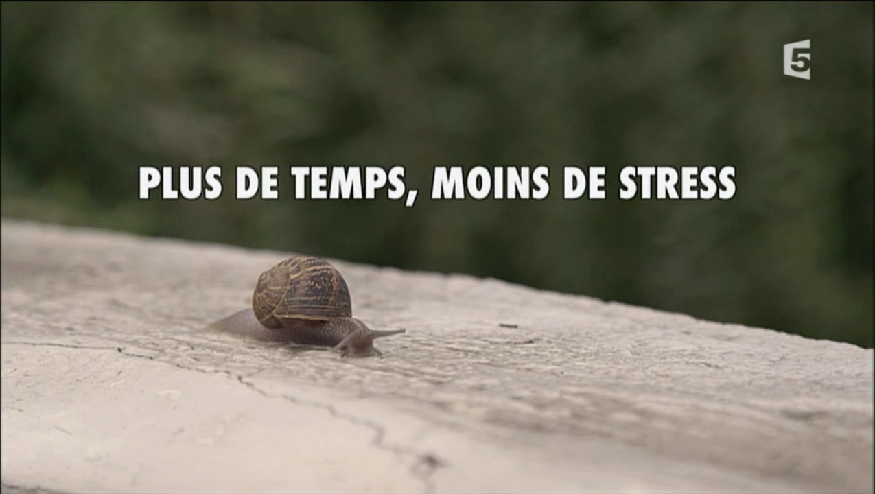 Plus De Temps, Moins De Stress [HD]