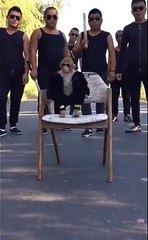 You will ever seen a Gang leader like this