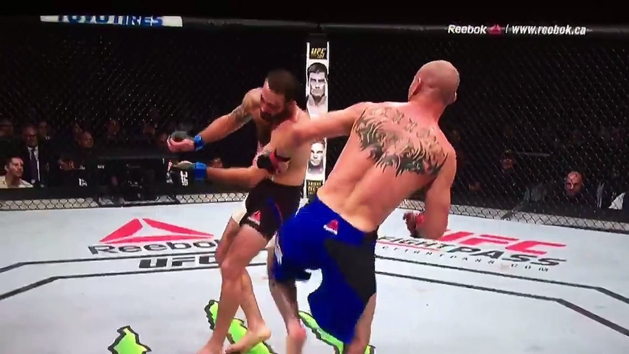 Cow TKO