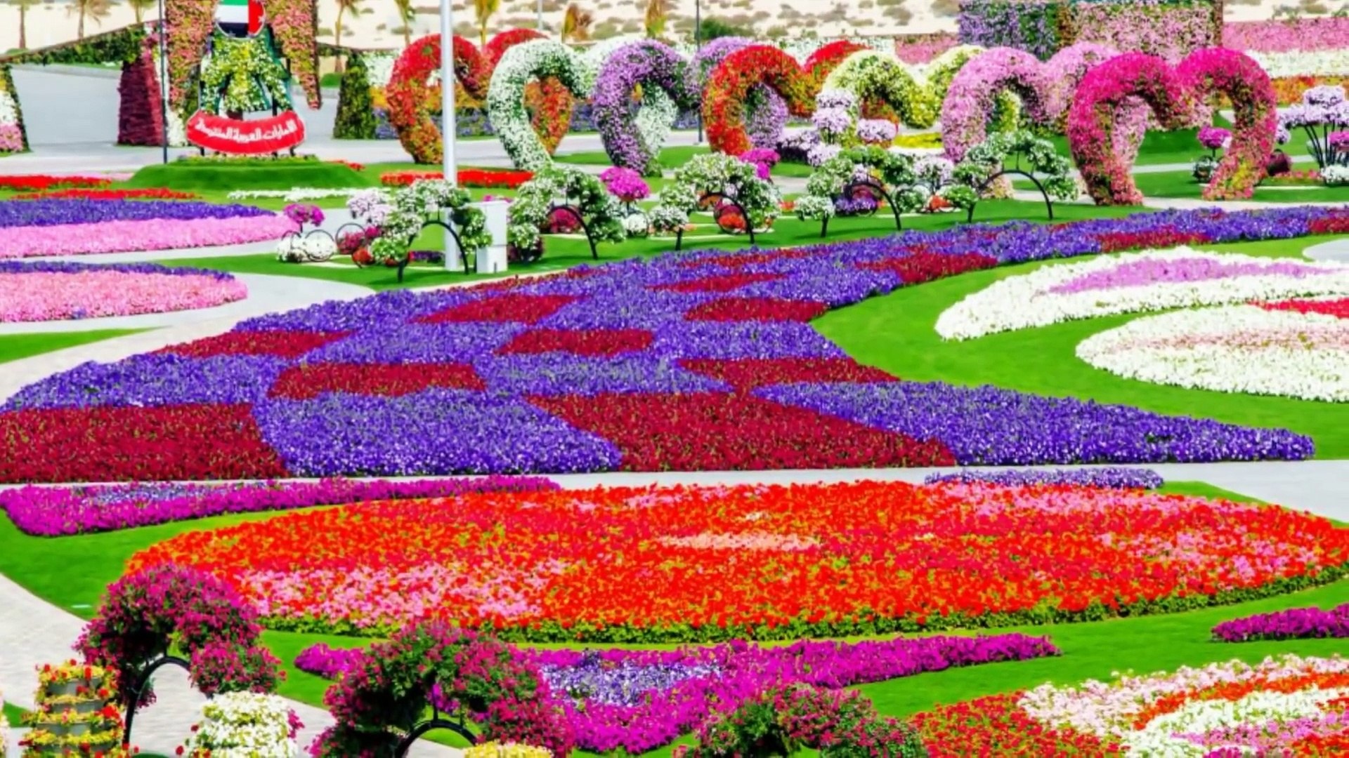 Beautiful Flowers Garden In The World