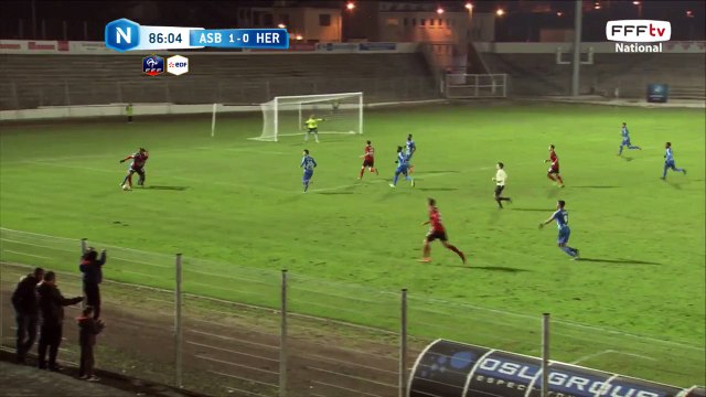 Très belle tête de Schuster qui passe au dessus