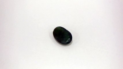 A4 N Emerald Panna 6.05 Carat | +91 022 24157317 / +91-9769207984