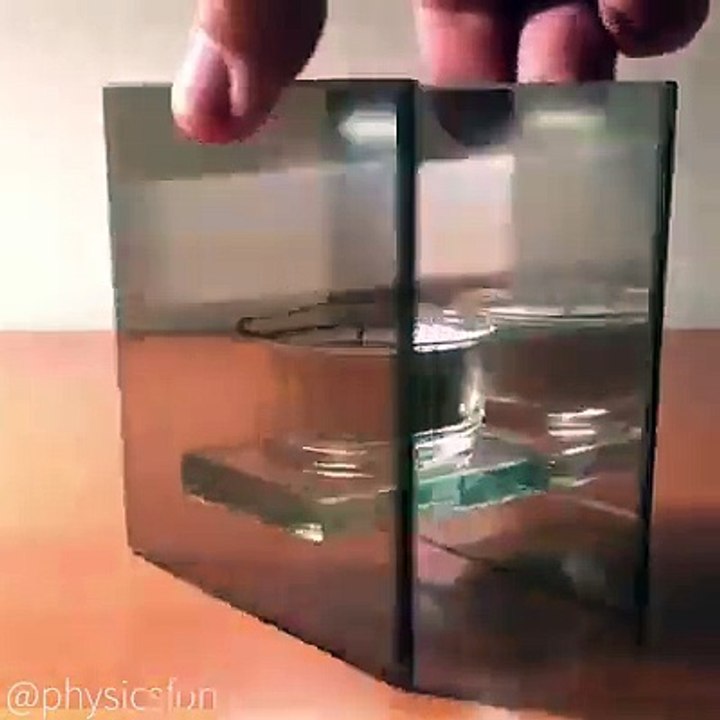 Science