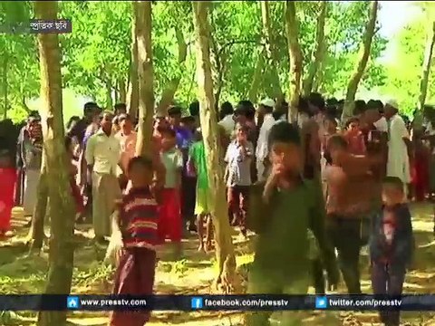 রোহিঙ্গাদের ত্রাণ সরবরাহের অনুমতি দিতে মিয়ানমারের প্রতি আহ্বান