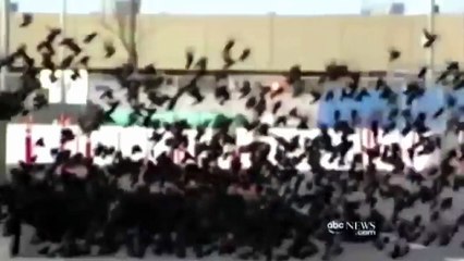 BIRDS VS AIRCRAFT VIDEO COLLECTION 2016 CRASH