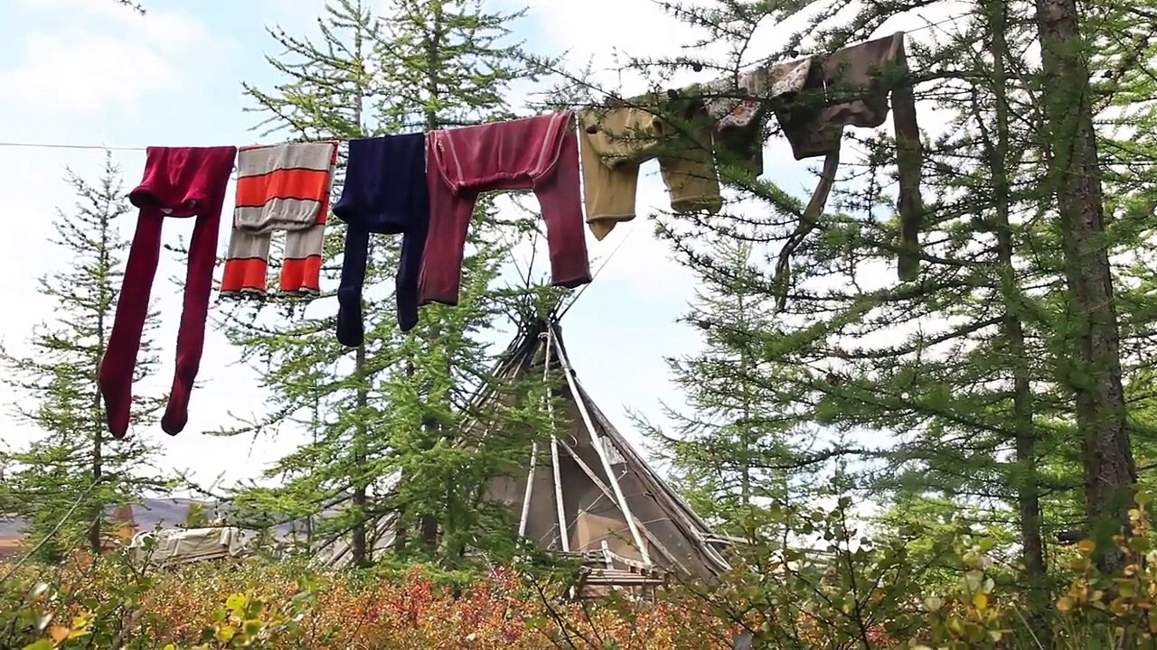 Дыхание тундры