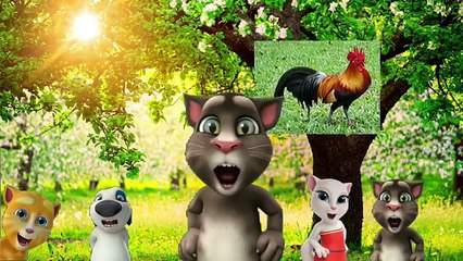 Tom Çocuk Şarkıları  horozumu