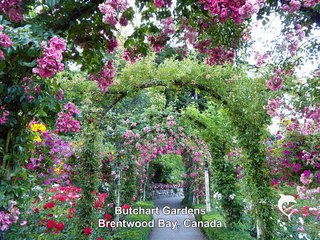 The most beautiful gardens in the world