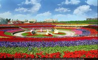The world s largest flower garden... The Dubai Miracle Garde