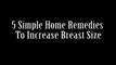 5 HOME REMEDIES TO INCREASE BREAST SIZE II स्तन के साइज को बढ़ने के लिए 5  घरेलू उपचार II