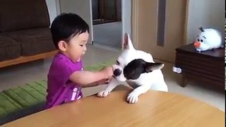 baby and dog funny videos-funny clips-baby funny video.