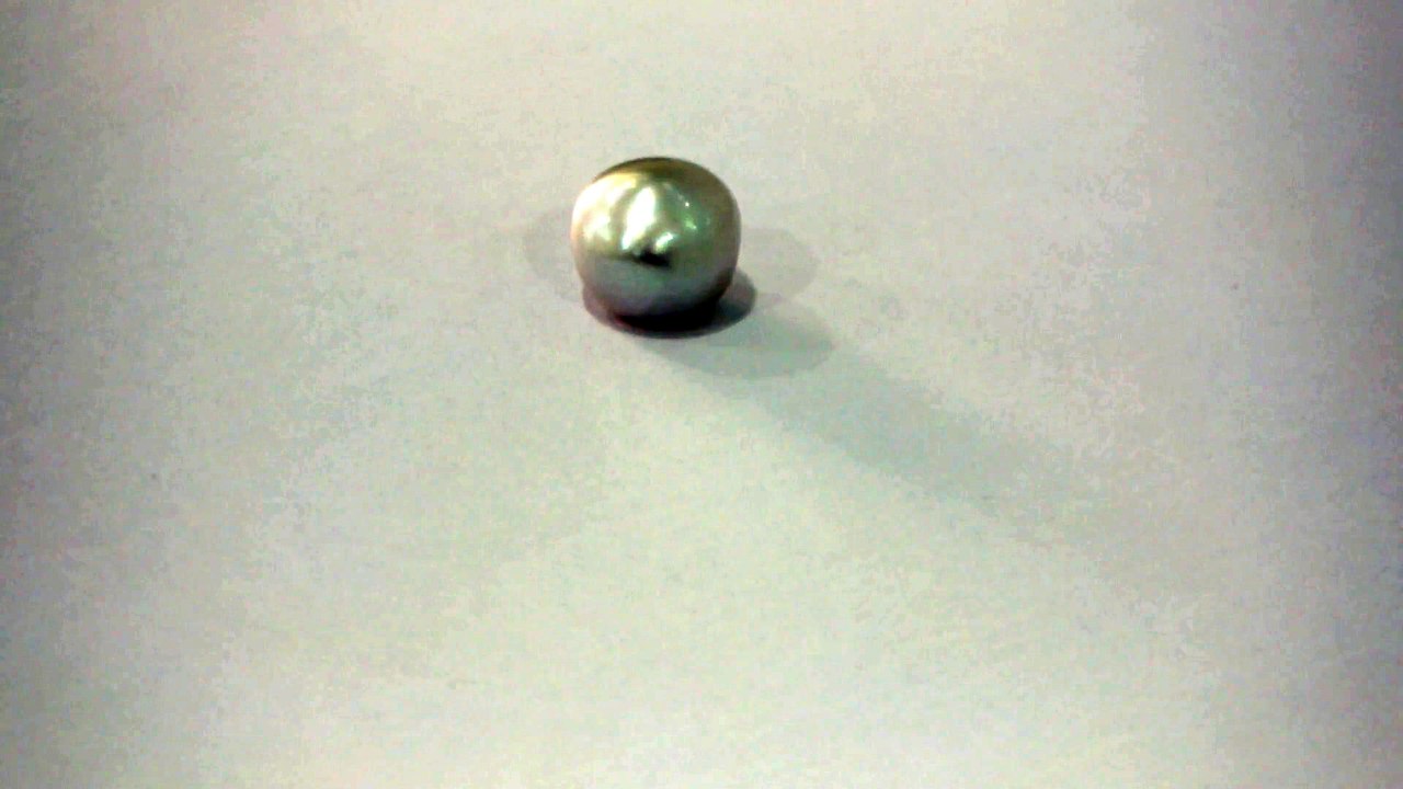 B19 South Sea Pearl Moti 8.21 Carat | +91 022 24157317 | +91-9769207984