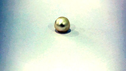 B20 Keshi Pearl Moti 6.91 Carat | +91 022 24157317 | +91-9769207984