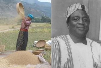 Novels Plot Summary 262: Chaff on the Wind