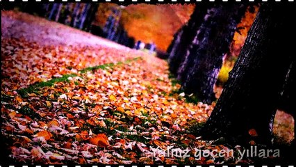 Yalnız Geçen Yıllara Hiç Boş Yere Ağlama | Rast Şarkı