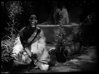 Rang Dil Ki Dhadkan Bhi Laati To Hogi Patang.