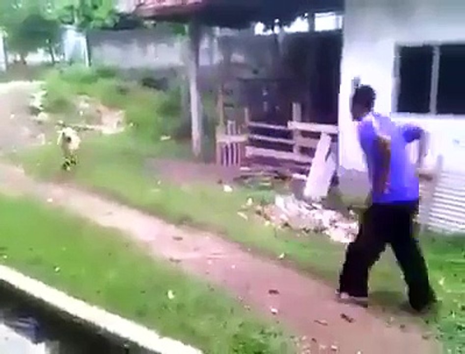 Sheep Vs Man | Sheep Hard head stroke to the man but ...