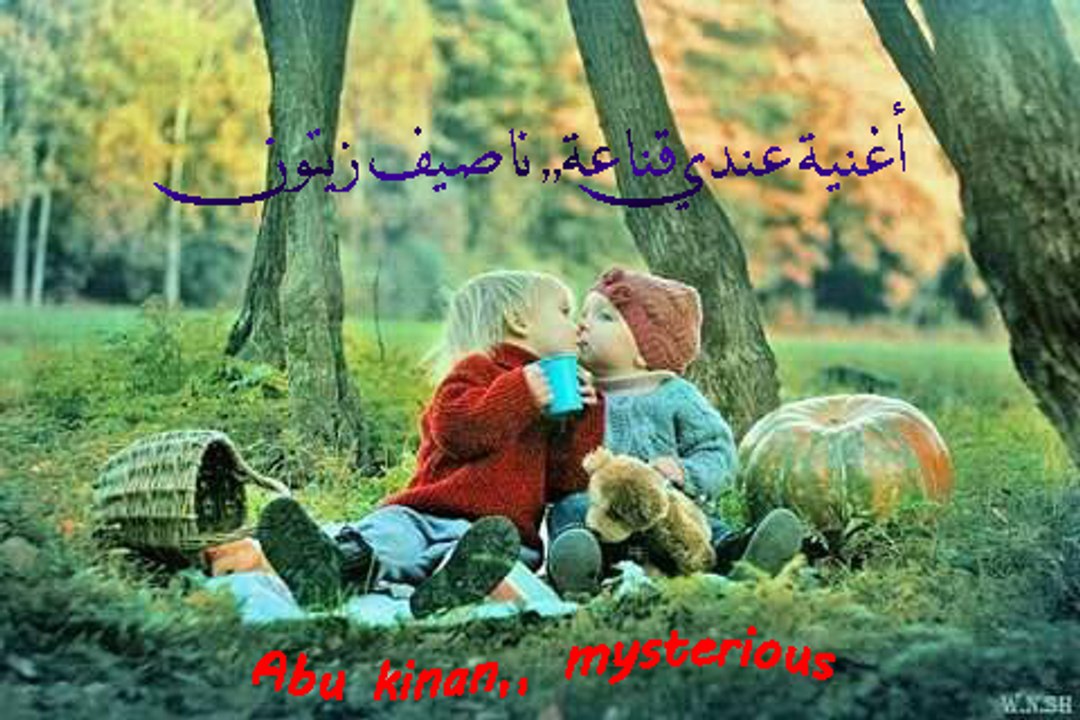 أغنية عندي قناعة ناصيف زيتون {روعة}