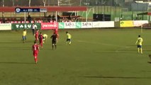 Aluminij vs Celje 2-1 All Goals (SLOVENIA  Prva liga) 10-12-2016 (HD)