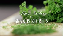 Fines Herbes Et Grands Secrets [HD]