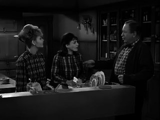 18. Petticoat Junction S01E18