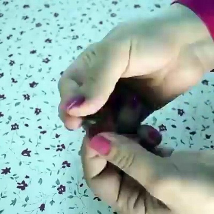 علاج الربو وضيق التنفس..!