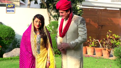 Watch Dilli Walay Dularay Babu Episode 16 - on Ary Digital in High Quality 10th December 2016