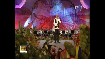 Tiberiu Ceia - Drumul garii din Beclean - live - Tezaur Folcloric