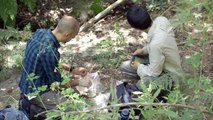 Endangered Frogs Battling Drought Conditions