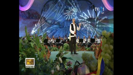 Tiberiu Ceia - Frumoasa vecina noastra - live - Tezaur Folcloric