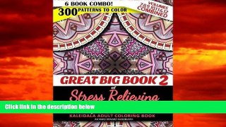 Audiobook Great Big Book 2 of Stress Relieving Patterns - Kaleidala Adult Coloring Book - 300