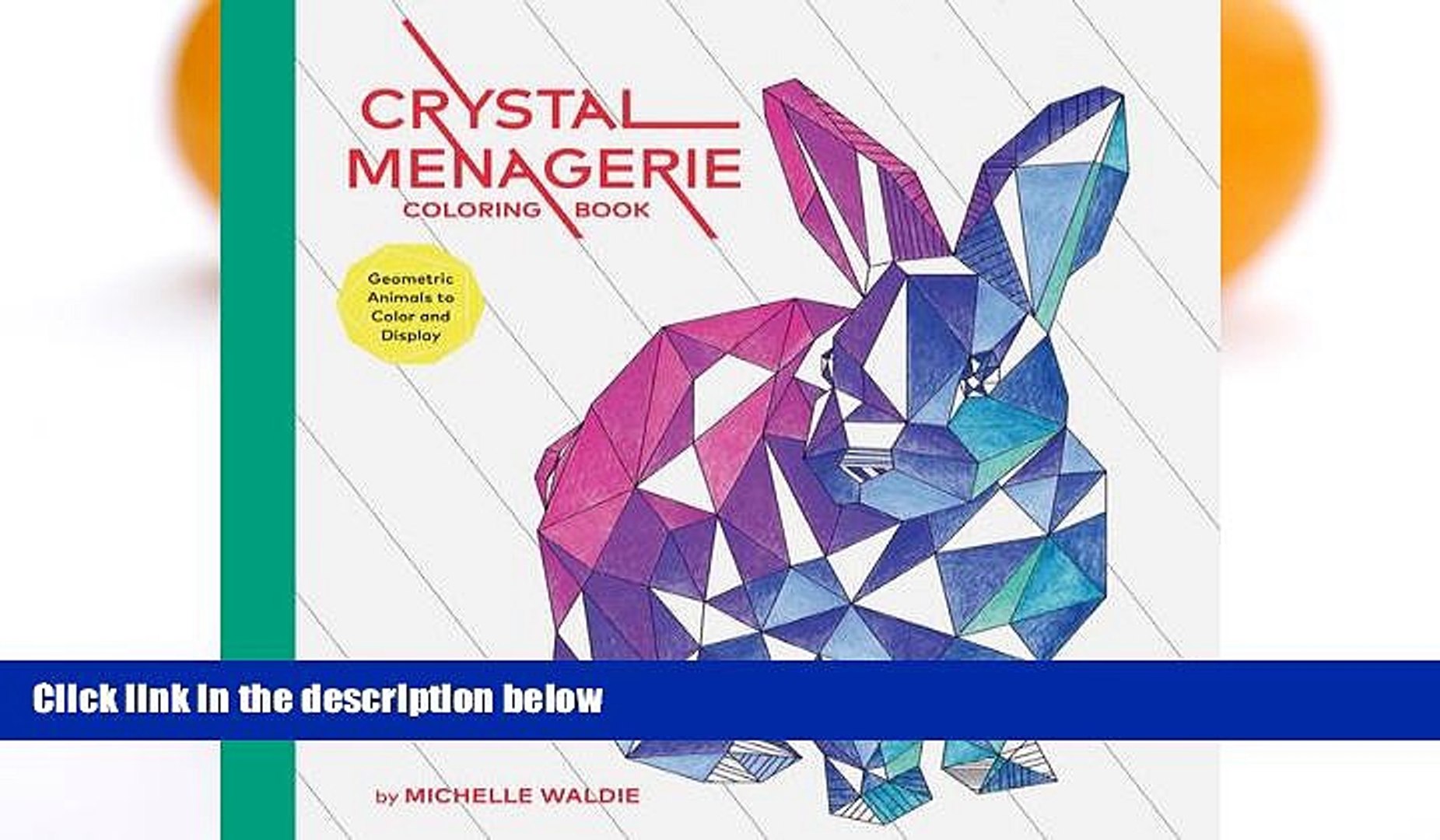Download Pre Order Crystal Menagerie Coloring Book Geometric Animals To Color And Display Michelle Waldie Video Dailymotion