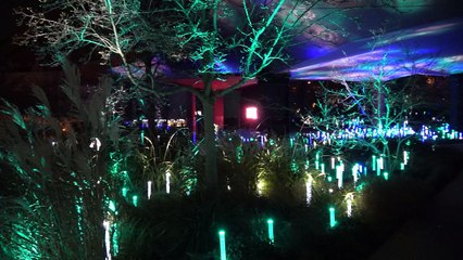 Le handicap, ailleurs: sacre chamanique ou menace de mort ?