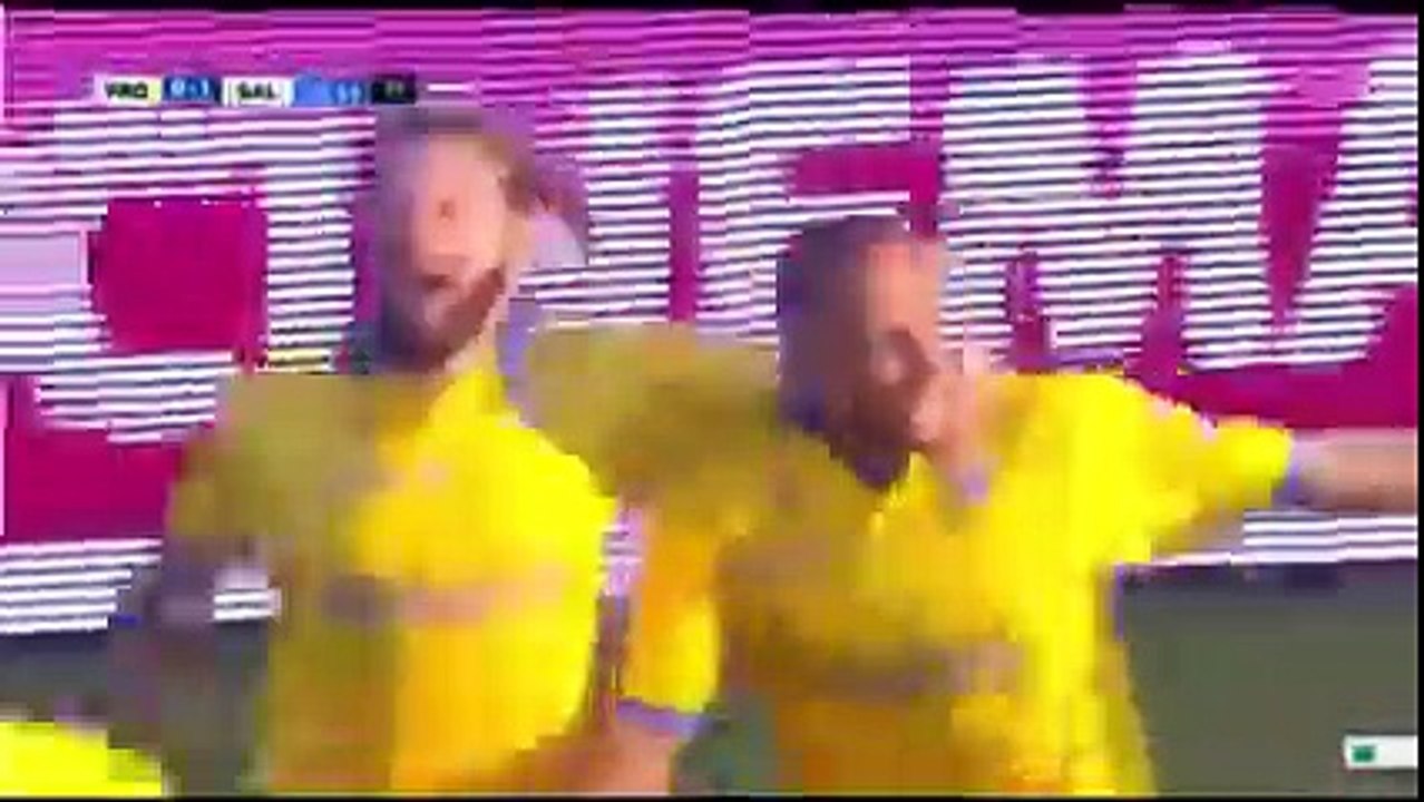 Frosinone vs Salernitana 1-2  Alessandro Rosina Goal Serie B  10-12-2016