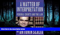 FAVORIT BOOK A Matter of Interpretation: Federal Courts and the Law (The University Center for