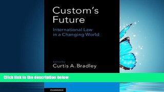 READ THE NEW BOOK Custom s Future: International Law in a Changing World BOOOK ONLINE