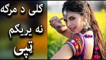 Pashto HD Tappay Gi Da Marga Na Yaregam - Nazia Iqbal & Shehanshah Bacha