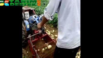 Bahçe Motoru ile Patates Sökümü