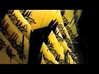 Be Prepared! Collaborative Hunting in Spotted Hyenas