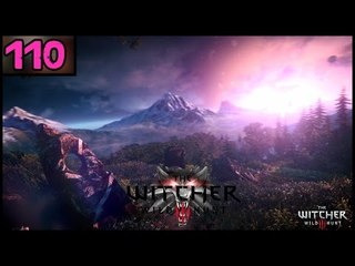 The Witcher 3 Wild Hunt - Part 110 - PC Gameplay Walkthrough - 1080p 60fps