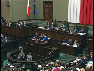 Poseł Katarzyna Lubnauer - Wystąpienie z dnia 30 listopada 2016 roku.